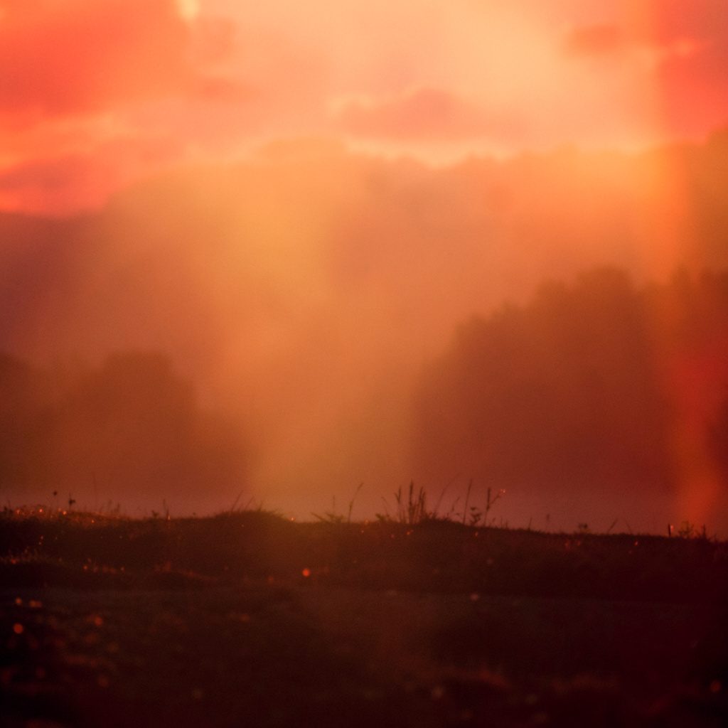 A close-up of soil being carefully sampled in the field, hands in gloves working with a sampling tool, warm golden-hour sunlight across the ground, rich brown earth tones